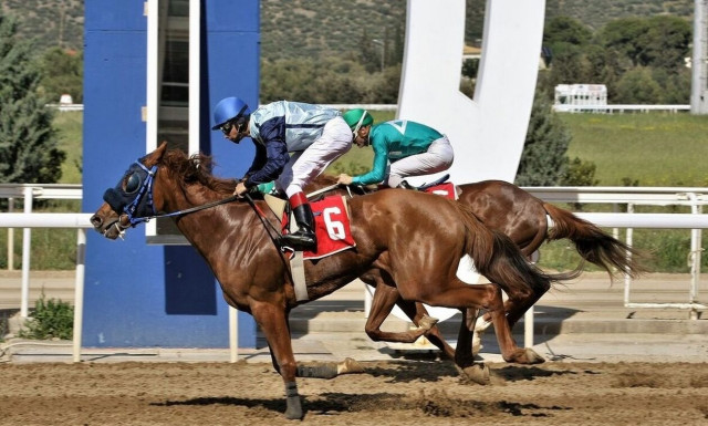 Έξι ελληνικές ιπποδρομίες εκτάκτως αυτή την Τρίτη στο Markopoulo Park