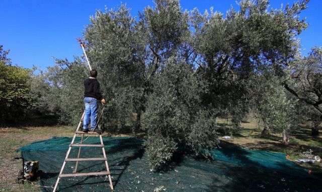 Μεγάλη έλλειψη σε ανειδίκευτους εργάτες