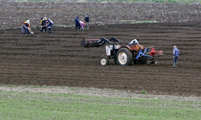 ΟΠΕΚΕΠΕ: Πληρωμή συνδεδεμένων ενισχύσεων σε χιλιάδες παραγωγούς