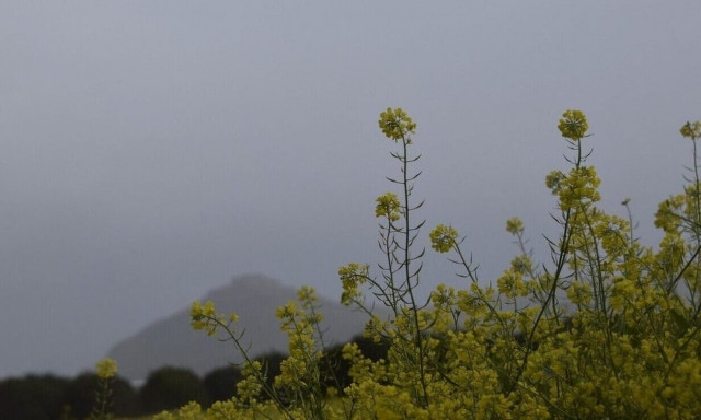 Weather forecast: Fair on Sunday