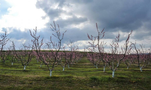 Weather forecast: Clouds, rain on Tuesday