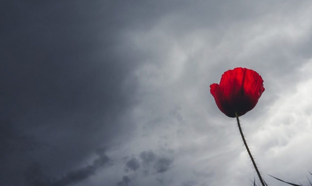 Weather forecast: Partly cloudy on Wednesday