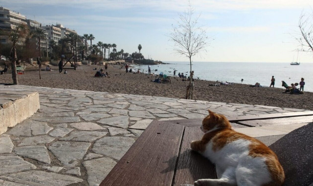 Weather forecast: Scattered clouds on Saturday