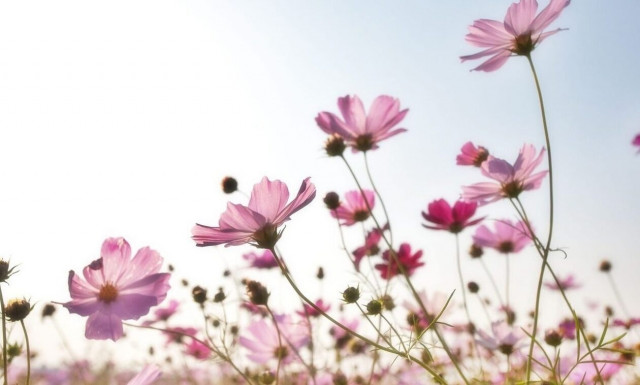 Καιρός: Συννεφιά και σκόνη σήμερα - Πού θα βρέξει