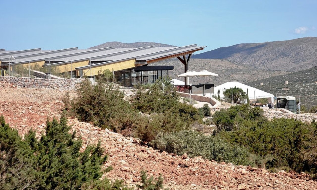 Χίος: Ξεκίνησαν οι έρευνες για την παραγωγή ορεινής μαστίχας