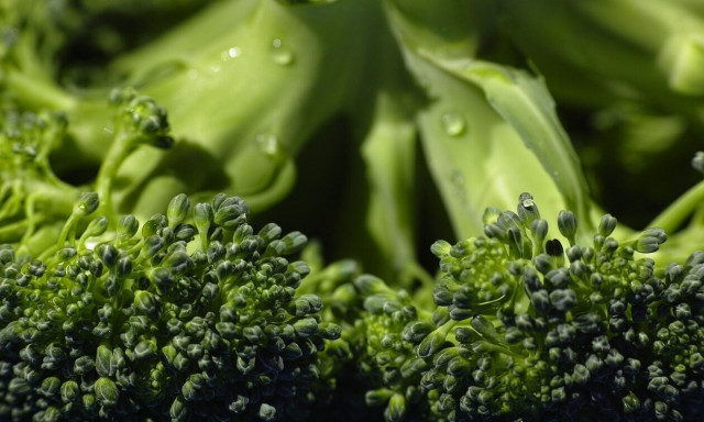 Αλλεργίες: Το μπρόκολο περιορίζει τα συμπτώματα στο δέρμα