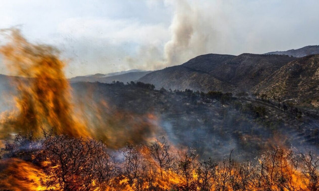 Greece to welcome over 180 firefighters from five European countries in July and August