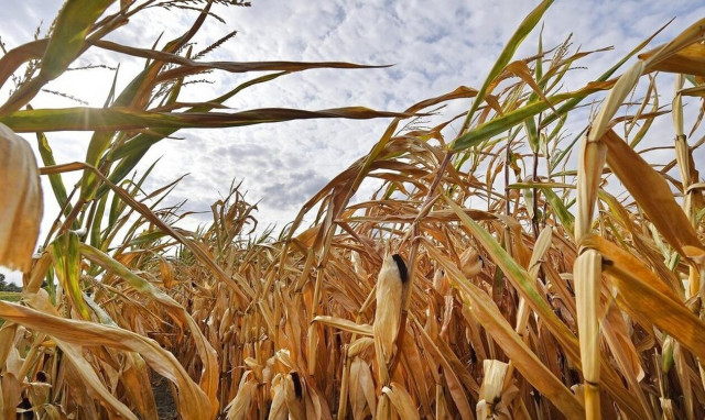 Συναγερμός από τον ΟΗΕ: Η περίοδος 2023-2027 θα είναι η πιο ζεστή που έχει καταγραφεί ποτέ