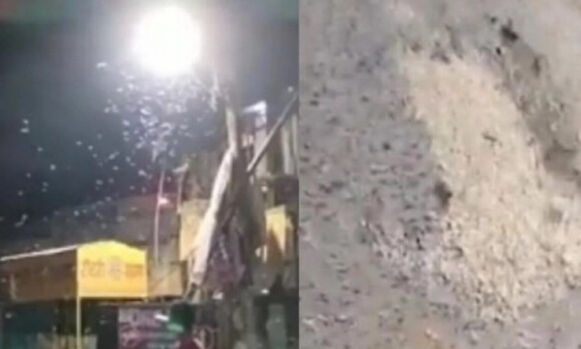 Απόκοσμο φαινόμενο στην Ινδία τρόμαξε τους πολίτες όταν άρχισε να βρέχει άσπρα σκουλήκια