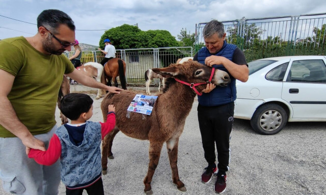 Εκλογές 2023 - Ναύπλιο: Αγρότης πήγε σε εκλογικό τμήμα με άλογα και γαϊδουράκια