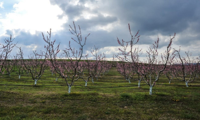 Καιρός: Συνεχίζεται τη Δευτέρα η αστάθεια με ήλιο και βροχές – Η πρόγνωση για όλη την εβδομάδα