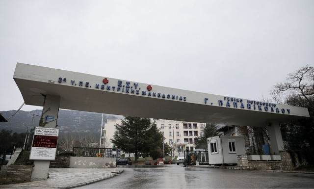 Θεσσαλονίκη: Βελτίωση παρουσιάζει η υγεία της ερπετολόγου που δαγκώθηκε από οχιά