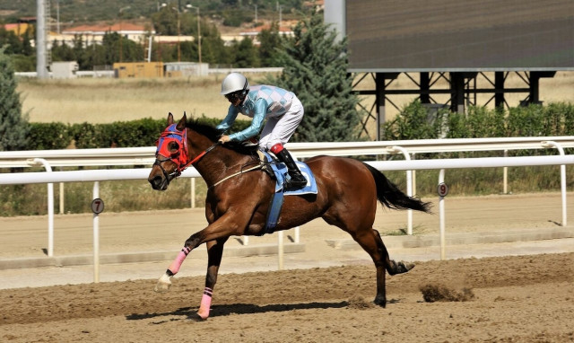 Markopoulo Park: Τρεις νικητές στο ΣΚΟΡ 6 κέρδισαν από 4.017 ευρώ