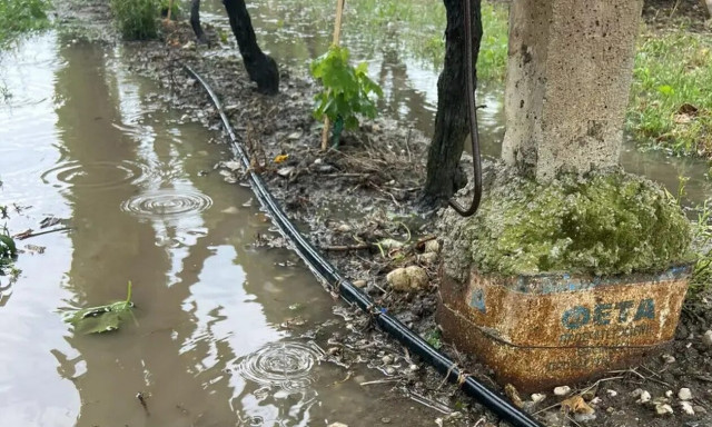 Καιρός: Σε απόγνωση οι αγρότες στον Τύρναβο - Καταστροφή στις καλλιέργειες από σφοδρή χαλαζόπτωση