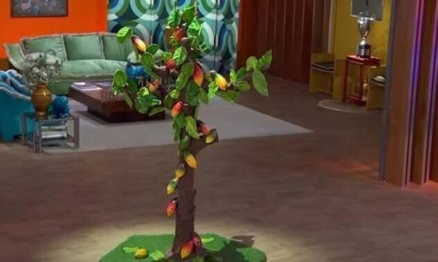 Ένα δέντρο με 95 κιλά σοκολάτας: H πιο ακραία δοκιμασία γλυκού στο ισπανικό MasterChef