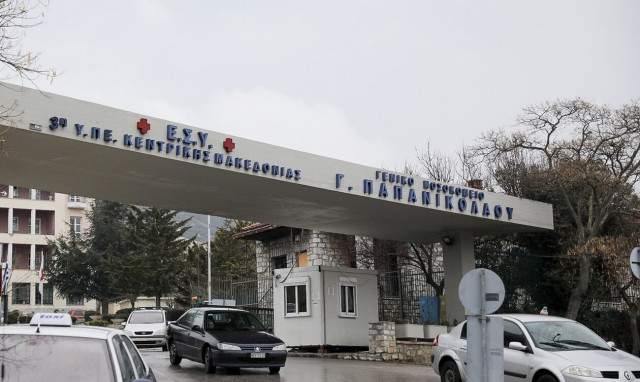 Θεσσαλονίκη: Εκτός ΜΕΘ η εθελόντρια που δέχτηκε επίθεση από οχιά