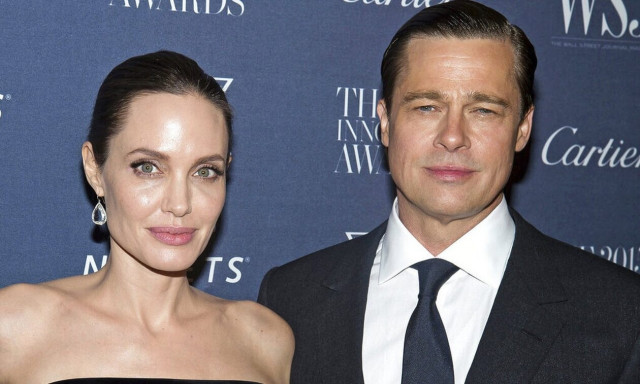 Μπραντ Πιτ: Το σχέδιο της Τζολί για να τον εκδικηθεί - «Δούρειος ίππος» ο αμπελώνας τους στη Γαλλία