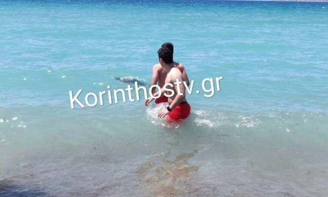 Κόρινθος: Δελφίνι βγήκε στην ακτή - Έχασε τον προσανατολισμό του