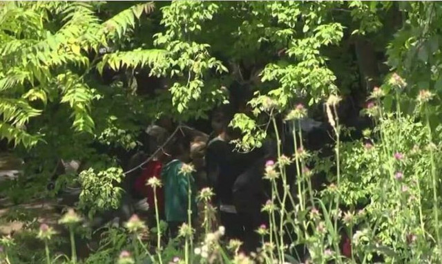 Έβρος: Απεγκλωβίστηκαν οι 91 μετανάστες από τη νησίδα