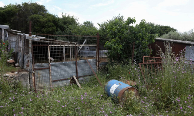 Δολοφονία στην Καβάλα: Το σημείο που βρέθηκε νεκρή η 68χρονη - Νέα αυτοψία ιατροδικαστή