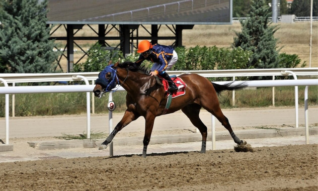 Markopoulo Park: 29 νικητές στο ΣΚΟΡ 6 κέρδισαν από 848 ευρώ
