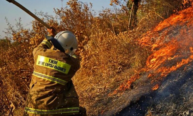 Καζακστάν: 14 νεκροί από τις δασικές πυρκαγιές στο βορειοανατολικό τμήμα της χώρας