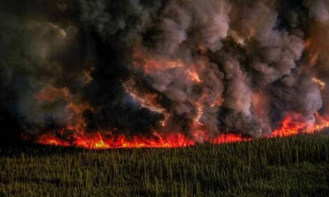 Πυρκαγιές στον Καναδά: 140 πυροσβέστες από την Πορτογαλία μεταβαίνουν στη χώρα