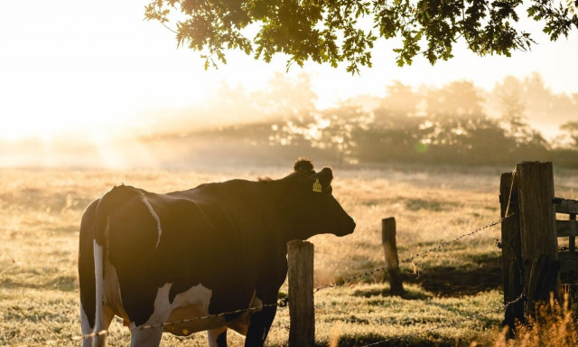 Ισπανία: Ζητείται Tik Toker για διαμονή σε φάρμα τα Σαββατοκύριακα – Δίνεται μισθός 2.000 ευρώ