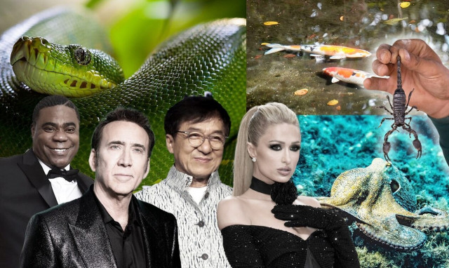 Celebrities με τα πιο παράξενα κατοικίδια - Χταπόδια, γατόψαρα και τίγρεις για ζώα συντροφιάς