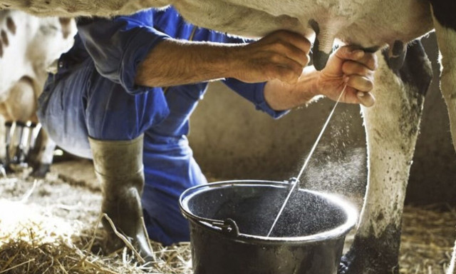 Έρχονται τα καύσιμα από… γάλα!