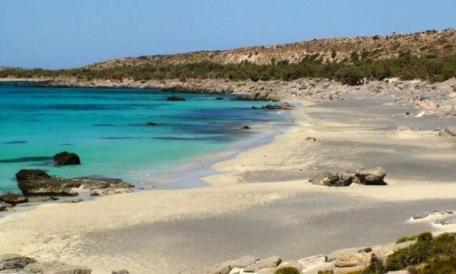 Η παραλία με το τροπικό ντεκόρ και τη σκιά από μοναδικά δέντρα