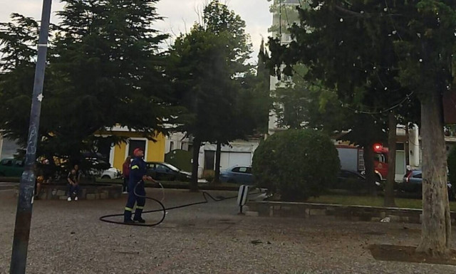 Λάρισα: Κάλεσαν την πυροσβεστική για να κατεβάσει … μπάλα από δέντρο