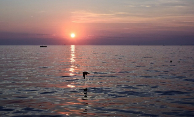 Θρήνος στην ελληνική ακτοπλοΐα: Νεκρός μέσα στο πλοίο 44χρονος καπετάνιος