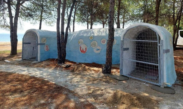 Χαλκιδική: «Πάρκο του Ιππόκαμπου» στο Στρατώνι