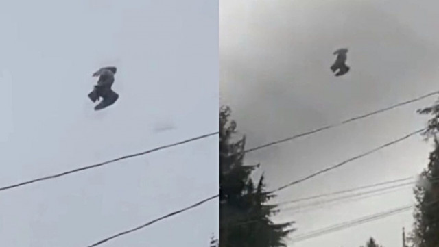 Περιστέρι «κολλημένο» στον αέρα – Το μυστηριώδες θέαμα που έχει… τρελάνει το διαδίκτυο