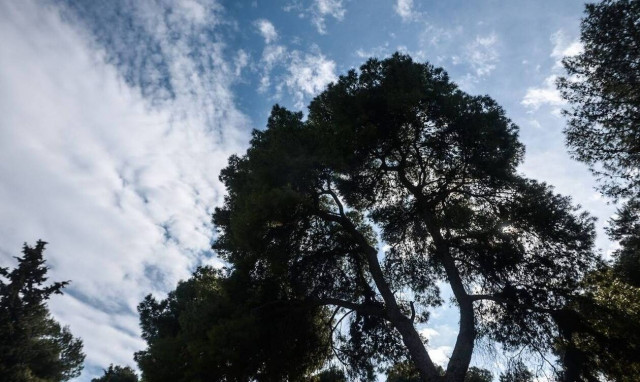 Καιρός: Ζέστη και σκόνη σήμερα στη χώρα - Με τι καιρό θα ψηφίσουμε