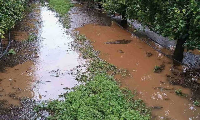 Χαλαζόπτωση στη Θεσσαλία: Σε απόγνωση οι αγρότες από καταστροφές σε αμπέλια, αχλάδια και ροδάκινα