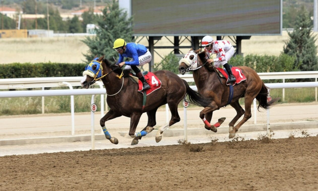 Πέντε δυνατές ελληνικές ιπποδρομίες τη Δευτέρα στο Markopoulo Park