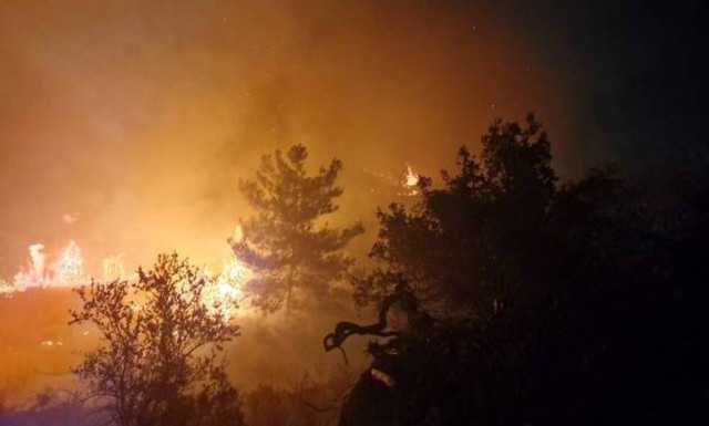 Ρόδος: Υπό μερικό έλεγχο η φωτιά - Εκκενώθηκε ξενοδοχείο