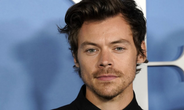 Harry Styles: Σταμάτησε τη συναυλία του για να πάει στην τουαλέτα μια έγκυος θαυμάστρια