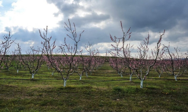 Καιρός: Έρχεται νέα κακοκαιρία - Πώς το εξηγεί ο Κλέαρχος Μαρουσάκης