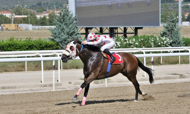 Markopoulo Park: Ένας νικητής στο Σύνθετο Δίδυμο κέρδισε 2.340 ευρώ