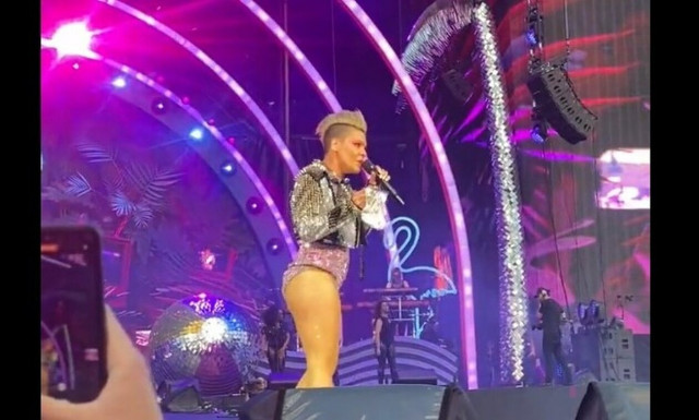 Pink: Θαυμάστριά της πέταξε στη σκηνή τέφρα της μητέρας της
