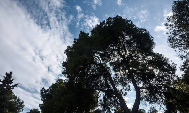 Καιρός - Κλέαρχος Μαρουσάκης: Ζέστη στην Αττική - Πού θα σημειωθούν βροχές και καταιγίδες