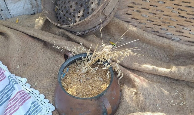 Κρήτη: Το παραδοσιακό αλώνισμα επιστρέφει στη Μονή Μαλεβιζίου