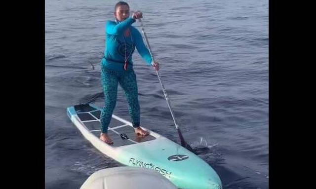 Ηνωμένες Πολιτείες: Τιτάνια ψυχραιμία από γυναίκα που έκανε SUP δίπλα σε καρχαρία 500 κιλών – Βίντεο