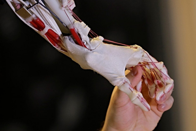 Ρομπότ – «μαέστρος» διηύθυνε ορχήστρα για πρώτη φορά (βίντεο)