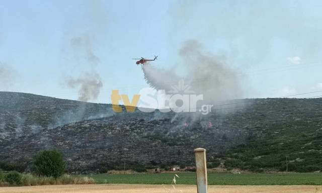 Φωτιά στο Ακόντιο Βοιωτίας: Επιχειρούν επίγειες και εναέριες δυνάμεις