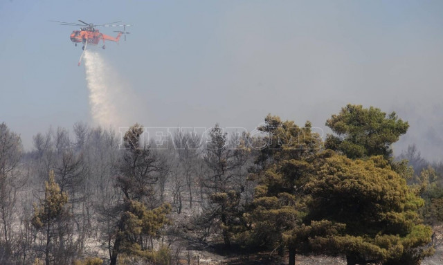 Φωτιά στον Ωρωπό: Βελτιωμένη εικόνα, παραμένει ισχυρή δύναμη της πυροσβεστικής