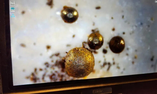 ΗΠΑ: Καθηγητής του Χάρβαρντ πιστεύει οτι ανακάλυψε θραύσματα αεροσκάφους εξωγήινων